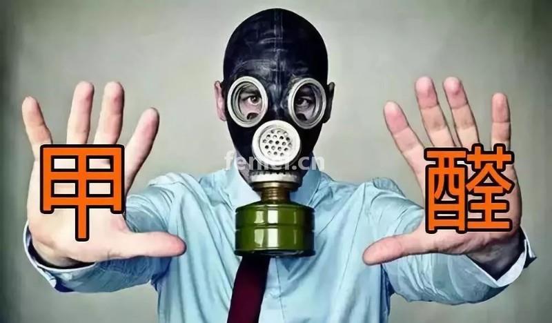 伊春带岭专业上门杀虫灭鼠诚信服务