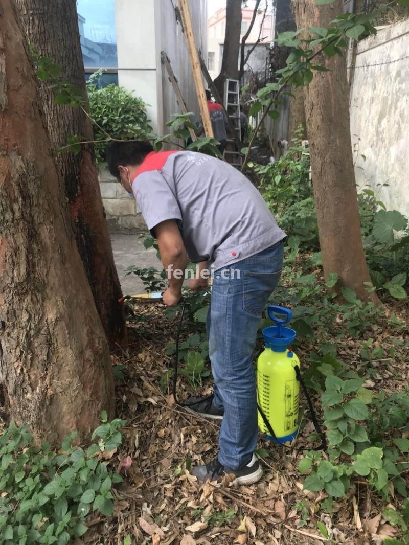 伊春南岔专业上门杀虫灭鼠服务热线